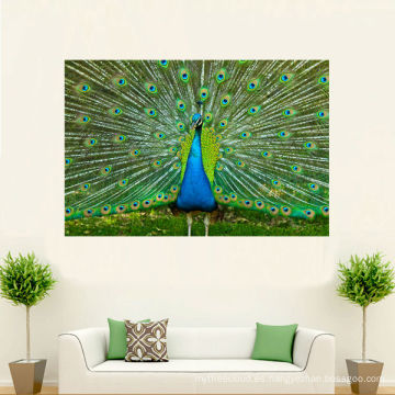 Pintura hermosa de la imagen del pavo real en lona